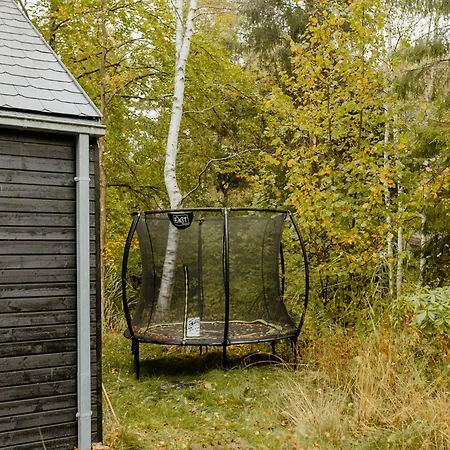 One With Nature Near Asserbo Plantation Frederiksværk